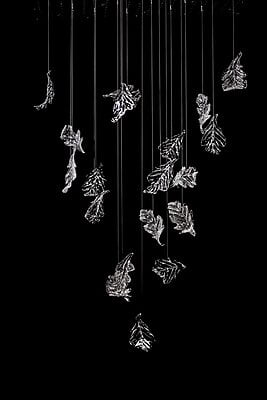 The Fall